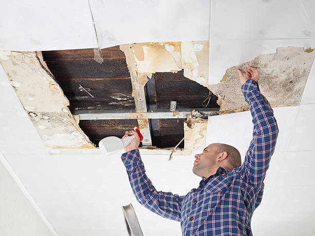 Best Water Damage & Mold Remediation  in Sun Prairie, WI